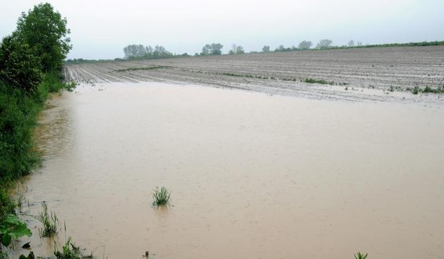 Vinkovci – Zbog kise koja neprestano pada vec treci dan, polja u Slavoniji gotovo su potpuno potopljena. Poplava, vodostaj, vodni val.Photo: Goran Ferbezar/PIXSELL