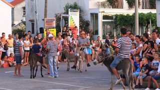 Trka Tovarov – 48. Memorijal Kenje Vijole Sukošan  Photo: Leo Banić