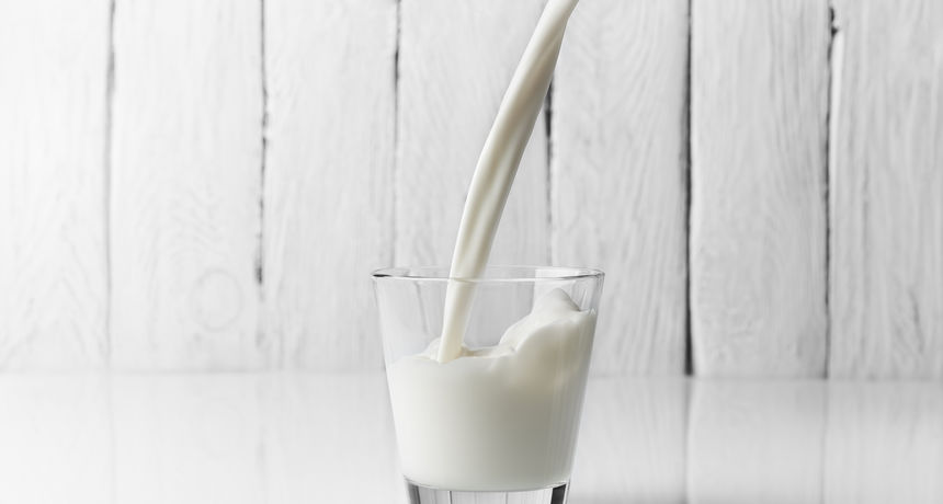 Mlijeko, ilustracija Mlijeko, ilustracija