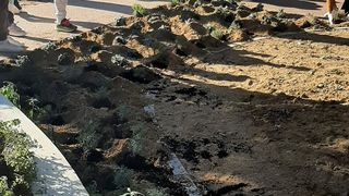 Volonteri uljepšali park Vruljica sadnjom cvijeća