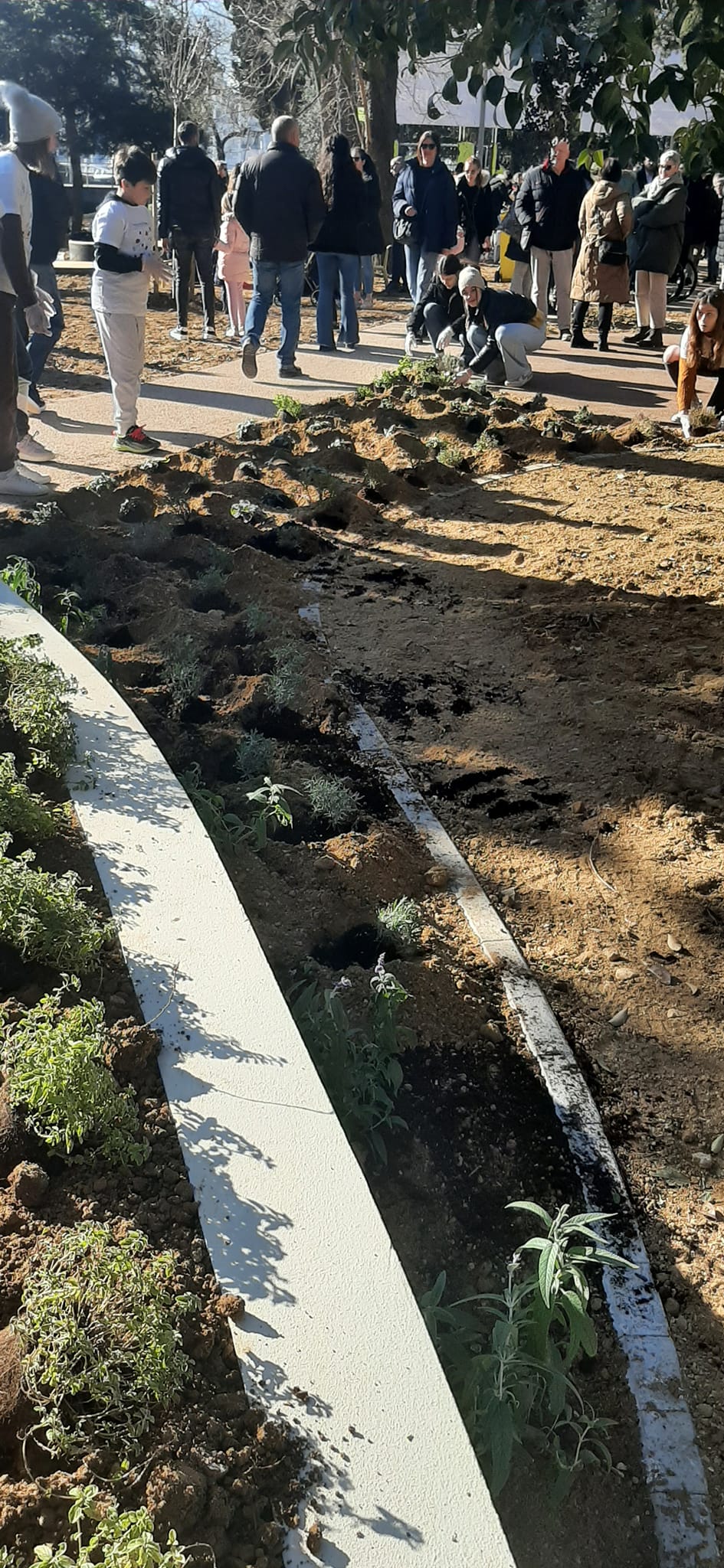 Volonteri uljepšali park Vruljica sadnjom cvijeća