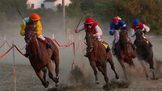 Polača: 14. Međunarodne konjičke utrke “Oluja 95”, Foto: Leo Banić Polača: 14. Međunarodne konjičke utrke “Oluja 95”, Foto: Leo Banić