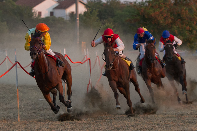 Polača: 14. Međunarodne konjičke utrke “Oluja 95”, Foto: Leo Banić Polača: 14. Međunarodne konjičke utrke “Oluja 95”, Foto: Leo Banić