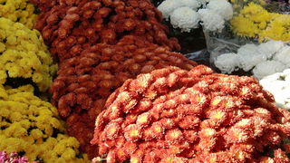 Gradska trznica uoci dana mrtvih, Foto: Mia Knezevic