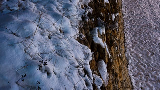 Noćni đir po Višnjiku, Foto: Anđelo Virag