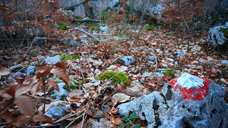 Uspon na Bojin Kuk i pogled na Italiju, Foto: Leo Banić Uspon na Bojin Kuk i pogled na Italiju, Foto: Leo Banić