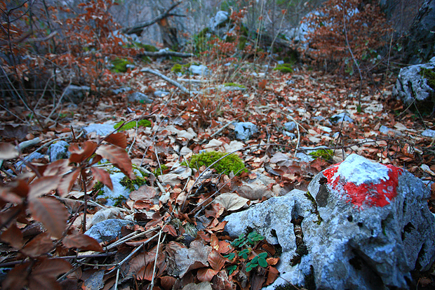 Uspon na Bojin Kuk i pogled na Italiju, Foto: Leo Banić Uspon na Bojin Kuk i pogled na Italiju, Foto: Leo Banić