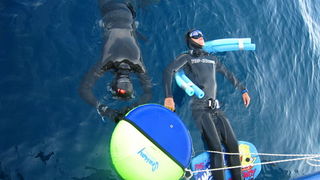 Ronjenje na dah: Rab Dive Off 2010. Ronjenje na dah: Rab Dive Off 2010.