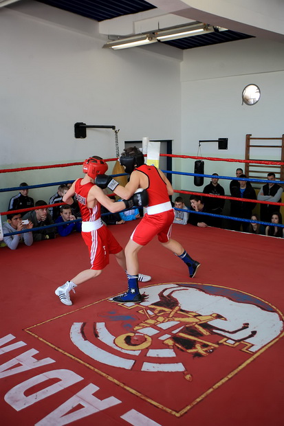 Javni i otvoreni sparing juniora BK Diabolik i reprezentacije Njemačke, Foto: Roberto Lerga Javni i otvoreni sparing juniora BK Diabolik i reprezentacije Njemačke, Foto: Roberto Lerga