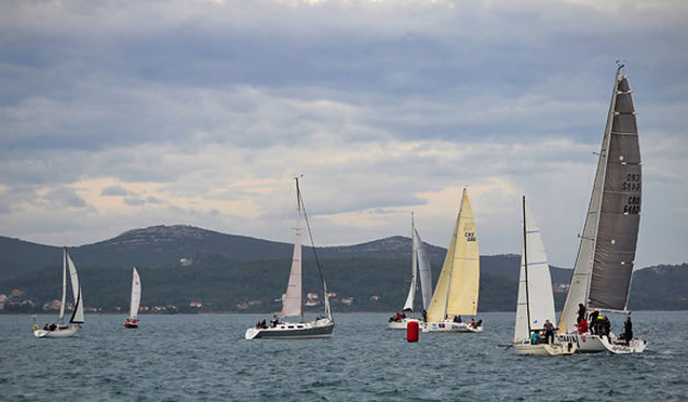 Zadarska Koka 2012. (foto:Saša Čuka)