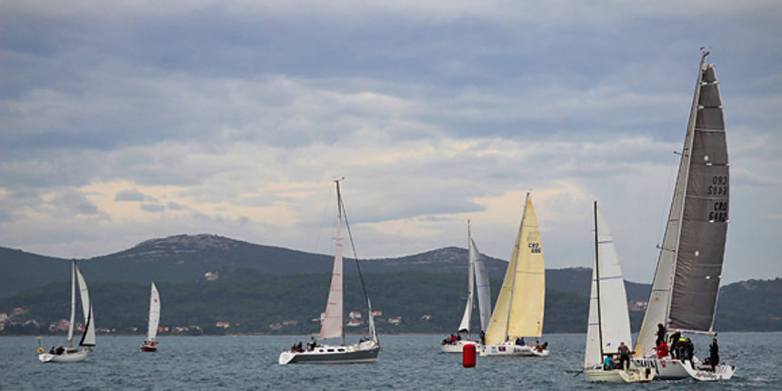 Zadarska Koka 2012. (foto:Saša Čuka) Zadarska Koka 2012. (foto:Saša Čuka)