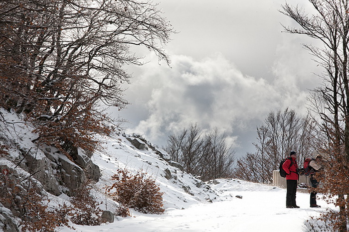 Đir do vrha Zečjak na sjevernom Velebitu, Foto: Leo Banić