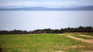 Posjet Solani Nin i Kraljevskim vinogradima u Petrčanima