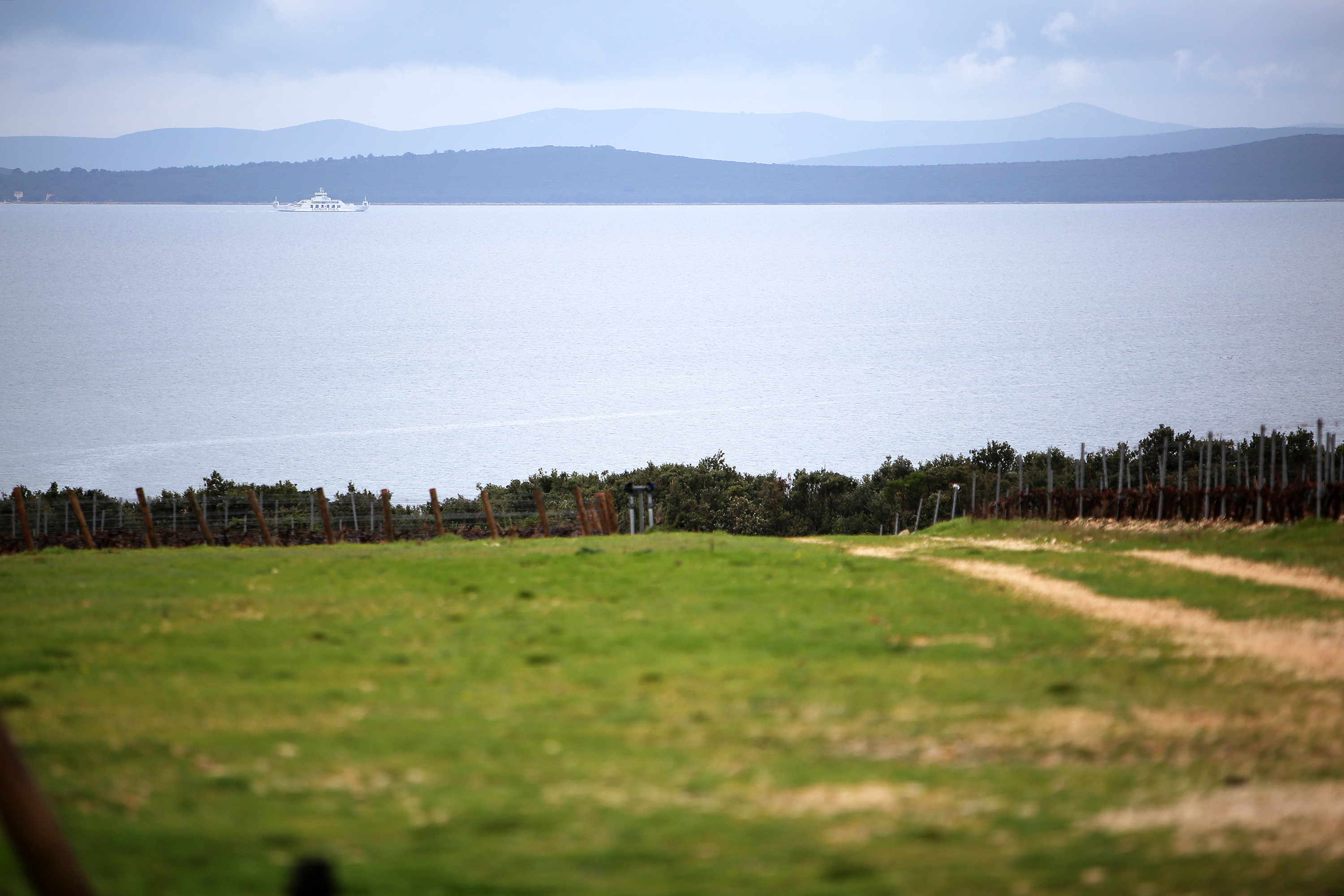 Posjet Solani Nin i Kraljevskim vinogradima u Petrčanima