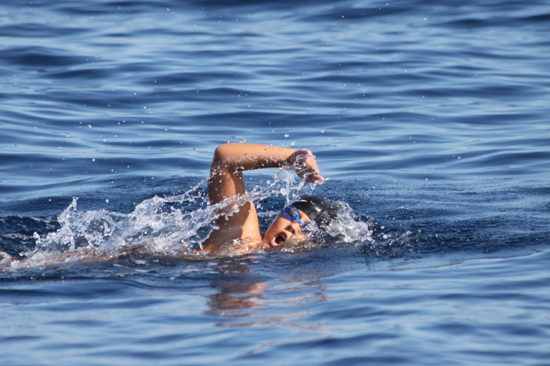 39. Plivački maraton Preko – Zadar, Foto: Edin Kadić 39. Plivački maraton Preko – Zadar, Foto: Edin Kadić