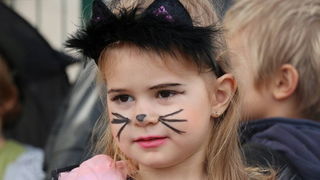 Virski karnevalić 2016. Virski karnevalić 2016.