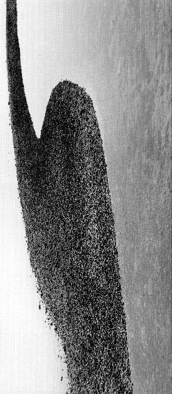 Braća Brkan: Slike sna i svjetlosti Braća Brkan: Slike sna i svjetlosti