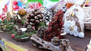 Vukovaru ZaDar na Narodnom trgu, foto: Iva Perinčić Vukovaru ZaDar na Narodnom trgu, foto: Iva Perinčić