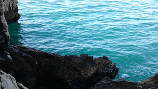 Jutarnji đir Puta Bajlom, foto: Iva Perinčić