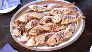 Vir: Memorijalni udičarski kup “Tonči Spavalica”