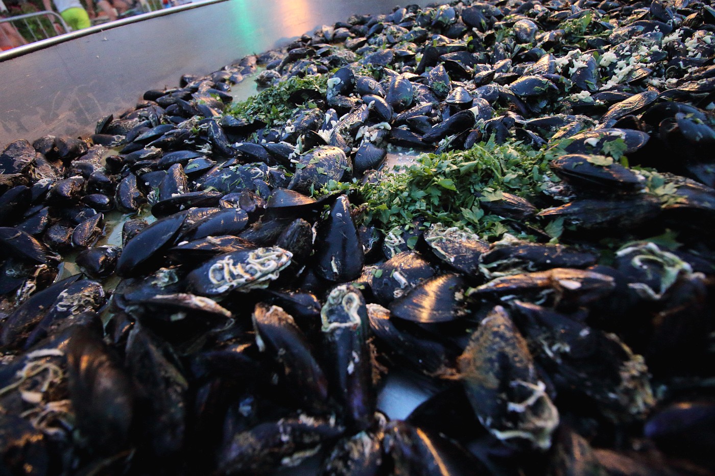 Gastro manifestacija “Bibinjski gušti” – druga večer Gastro manifestacija “Bibinjski gušti” – druga večer