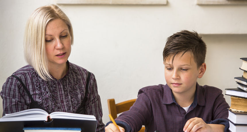 Pomoćnik u nastavi Pomoćnik u nastavi