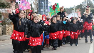Virski karnevalić 2016. Virski karnevalić 2016.