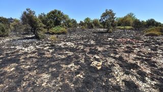 Vir: Požar u Lozicama u potpunosti ugašen Vir: Požar u Lozicama u potpunosti ugašen