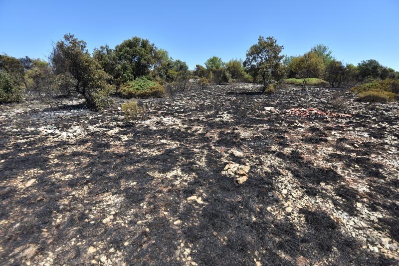 Vir: Požar u Lozicama u potpunosti ugašen Vir: Požar u Lozicama u potpunosti ugašen