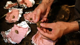 Zadar, 060712.
Predstavljanje novih arheoloskih nalaza iz spilje neandertalaca iz srednjeg paleolitika. Spilja se nalazi u kanjonu ispod utvrde Klicevica u blizini Benkovca. Arheolozi su pronasli ostatke alata kojima su se sluzili neandertalci prije 40 ti