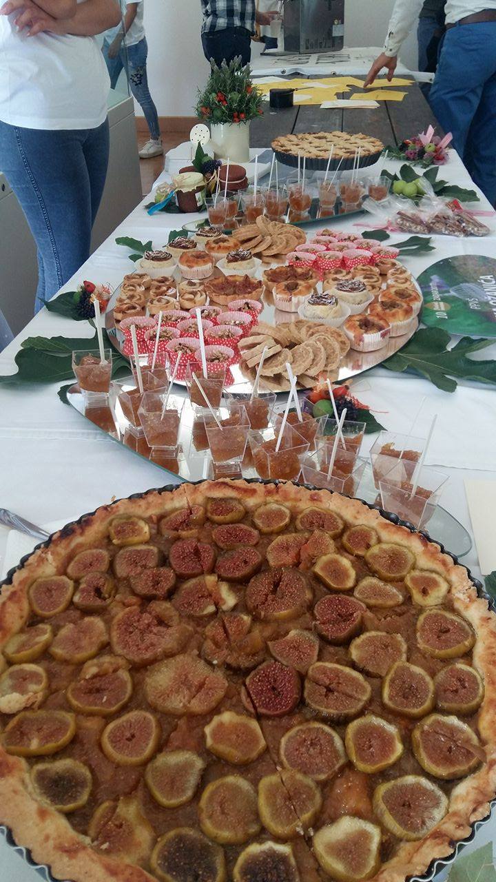 Poljičke vile i erotska poezija – otvorena “Gastro smokva”!