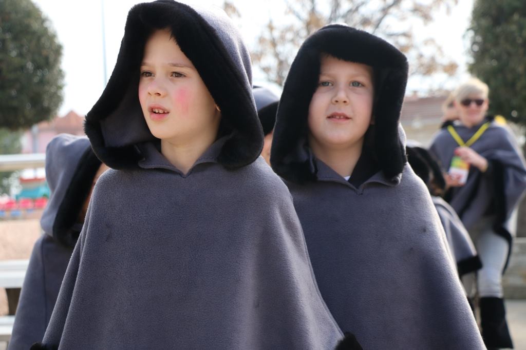 Virski Karnevalić 2017.