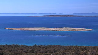 Đir po otoku Pagu – Pag, Foto: Leonard Kvarantan