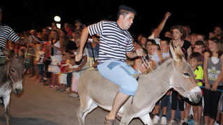 Sukosan: 40. Trka tovarov “Memorijal kenje Vijole” i 6. Noc svicarenja 8. kolovoza 2010. Sukosan: 40. Trka tovarov “Memorijal kenje Vijole” i 6. Noc svicarenja 8. kolovoza 2010.