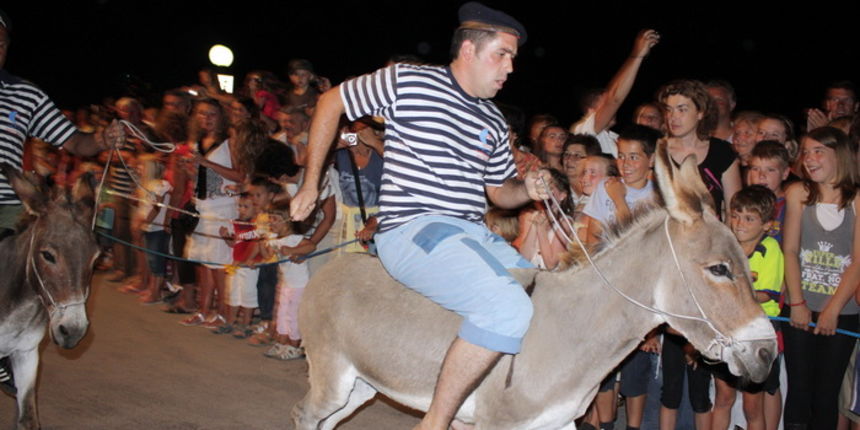 Sukosan: 40. Trka tovarov “Memorijal kenje Vijole” i 6. Noc svicarenja 8. kolovoza 2010. Sukosan: 40. Trka tovarov “Memorijal kenje Vijole” i 6. Noc svicarenja 8. kolovoza 2010.