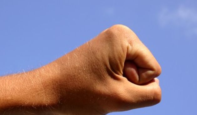 Šaka (Foto: Tportal.hr)