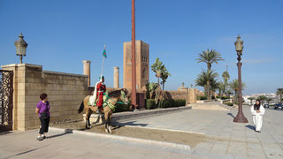 Skitnja Casablancom, foto: Pero Šindija