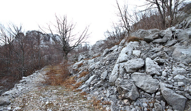 Đir do Velebita, foto: Leo Banić
