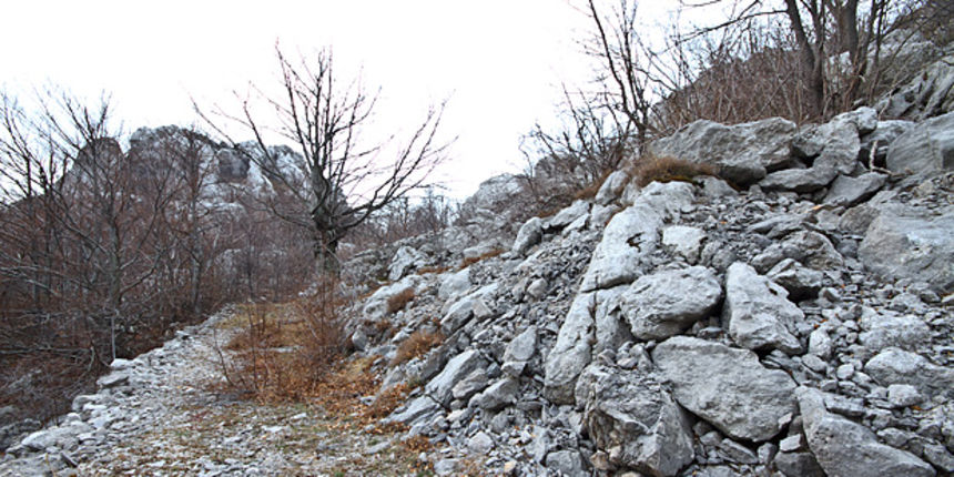 Đir do Velebita, foto: Leo Banić Đir do Velebita, foto: Leo Banić