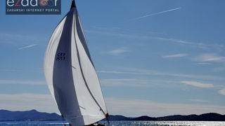 Zadarska koka 2017. Zadarska koka 2017.