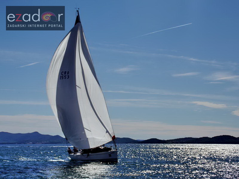 Zadarska koka 2017. Zadarska koka 2017.