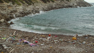 Mljet: Nasukana morska sirena Mljet: Nasukana morska sirena