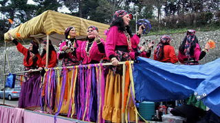 Karnevalska povorka 2012, Foto: Leonard Kvarantan Karnevalska povorka 2012, Foto: Leonard Kvarantan