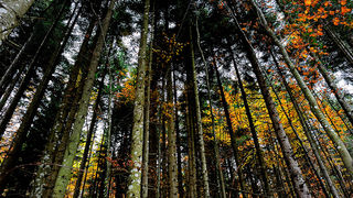 Sjeverni Velebit i Lika u jesen Sjeverni Velebit i Lika u jesen