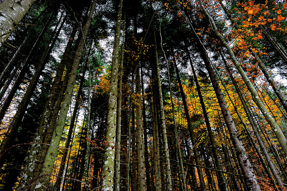 Sjeverni Velebit i Lika u jesen Sjeverni Velebit i Lika u jesen