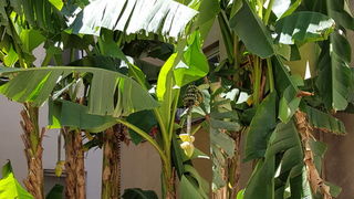 Đir uz more 19. srpnja 2016. – Uvala Draženica, kupalište Jadran, Moprske orgulje i Pozdrav suncu, zadarska riva… Foto: Mladen Malik Đir uz more 19. srpnja 2016. – Uvala Draženica, kupalište Jadran, Moprske orgulje i Pozdrav suncu, zadarska riva… Foto: Mladen Malik