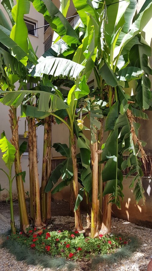 Đir uz more 19. srpnja 2016. – Uvala Draženica, kupalište Jadran, Moprske orgulje i Pozdrav suncu, zadarska riva… Foto: Mladen Malik Đir uz more 19. srpnja 2016. – Uvala Draženica, kupalište Jadran, Moprske orgulje i Pozdrav suncu, zadarska riva… Foto: Mladen Malik