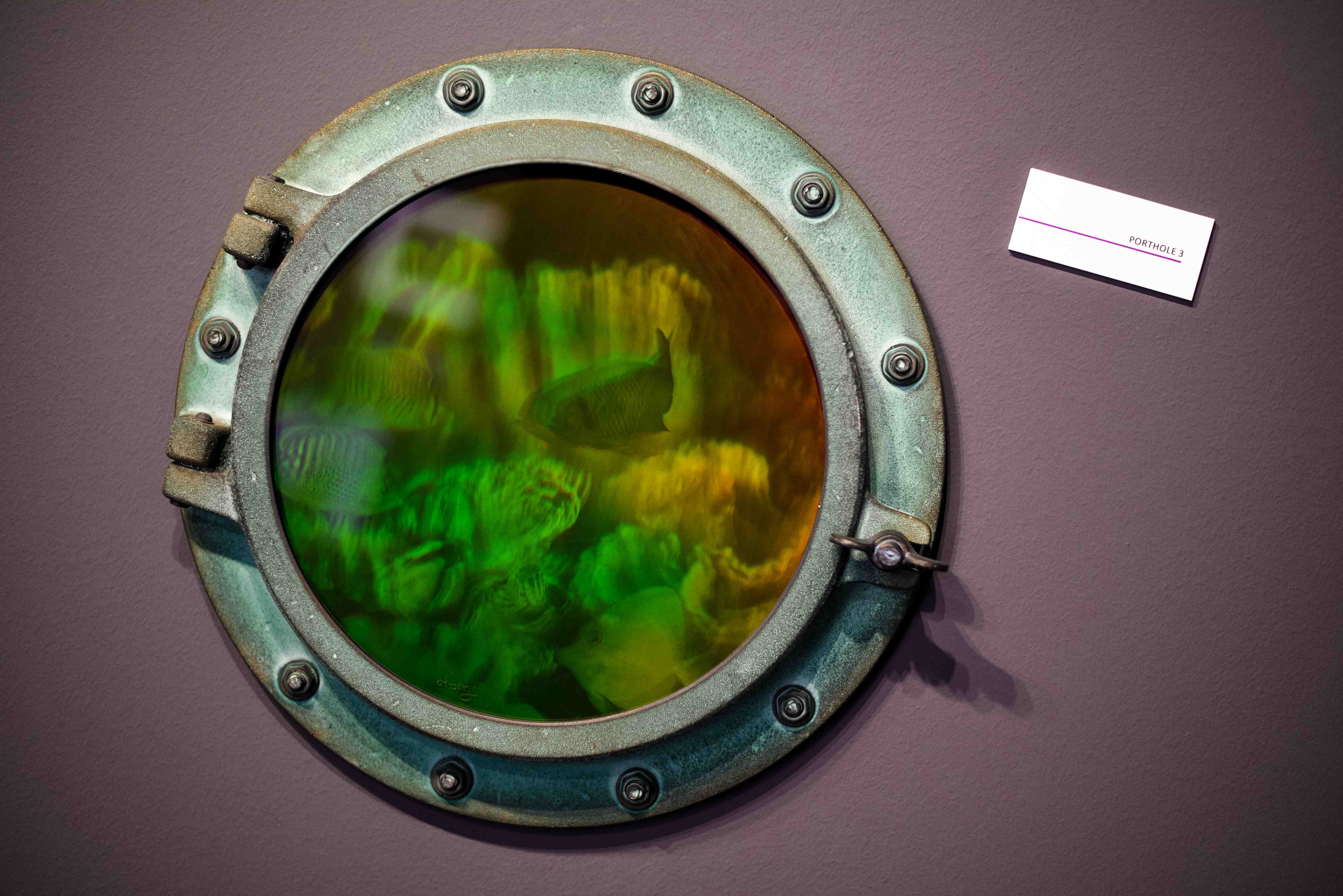 Muzej iluzija Muzej iluzija