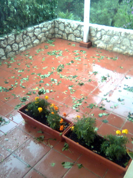 Pijavica s gradom poharala Dolaske Drage, Foto: Maria Dell’Orco Pijavica s gradom poharala Dolaske Drage, Foto: Maria Dell’Orco