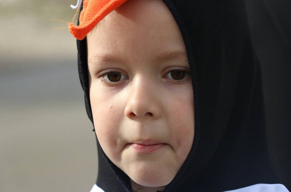 Virski karnevalić 2016. Virski karnevalić 2016.